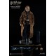 Harry Potter My Favourite Movie Action Figure 1/6 Mad-Eye Moody 30 cm